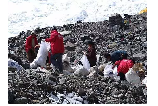 你被“垃圾分類”洗腦了嗎？揭秘強制分類背后的驚天秘密！-