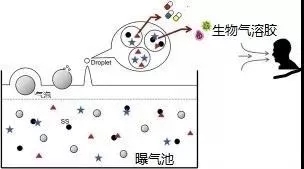 污水廠內(nèi)的生物氣溶膠怎么產(chǎn)生,污水從業(yè)人員如何做好防護?- 污水廠內(nèi)的生物氣溶膠怎么產(chǎn)生,污水從業(yè)人員如何做好防護?-