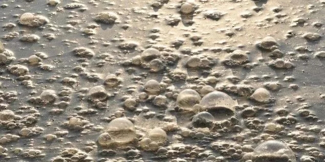 污水廠內(nèi)的生物氣溶膠怎么產(chǎn)生,污水從業(yè)人員如何做好防護?- 污水廠內(nèi)的生物氣溶膠怎么產(chǎn)生,污水從業(yè)人員如何做好防護?-