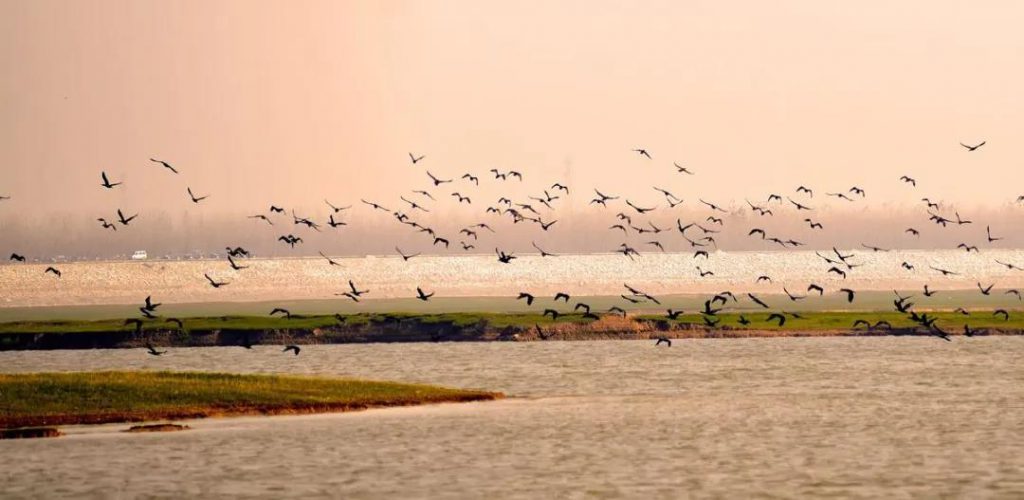 湖南849個鄉鎮要建成污水處理設施，總投資達268億-