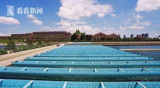 夏季用水高峰來臨 18家水廠單日供水將超650萬噸-